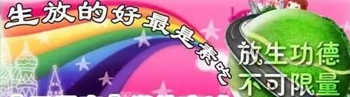 kaiyun开云网页版
