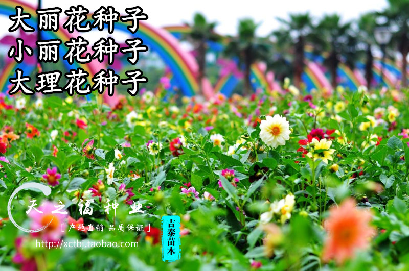 kaiyun网页登录入口